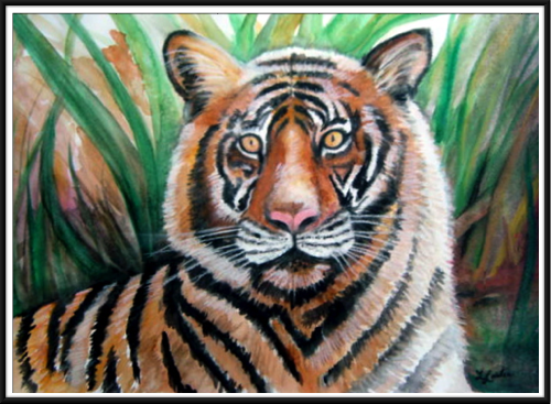 Tiger Tiger 